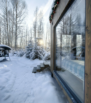 Осина — фото 4