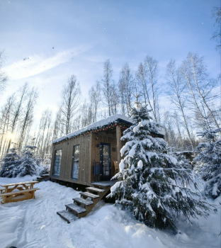 Осина — фото 3