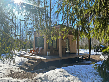 Рябина — фото 3