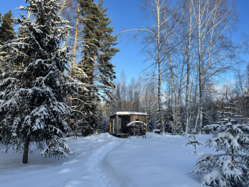 Рябина — фото 17