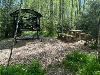 Ольха — фото 13