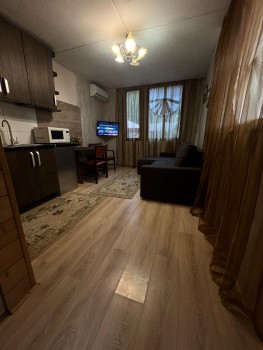 Двухместная мини-студия — фото 6