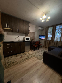 Двухместная мини-студия — фото 1