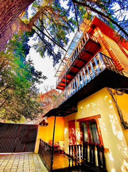 Полулюкс — фото 1