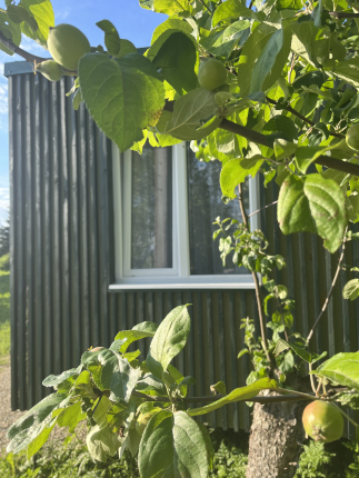 Наш домик — фото