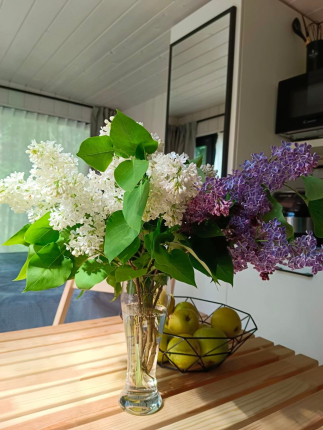 Усадьба Киискиля — фото