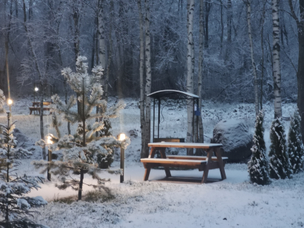 Эко-парк РивеРиест — фото