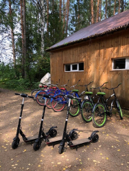 Костровая зона — фото 1