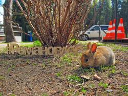 Ферма — фото 1