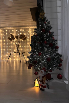 Дубль-дом с купелью и сауной — фото 1