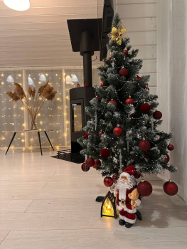 Дубль-дом с купелью и сауной — фото 2