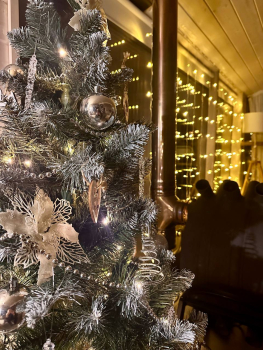 Дубль-дом с панорамной сауной и купелью — фото 3