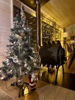 Дубль-дом с панорамной сауной и купелью — фото 2