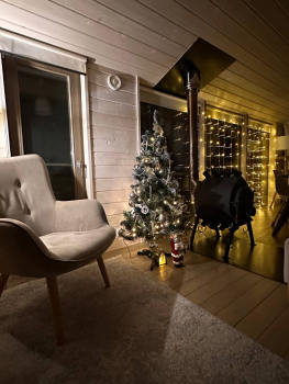 Дубль-дом с панорамной сауной и купелью — фото 1