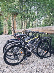 Велопрогулки — фото 1