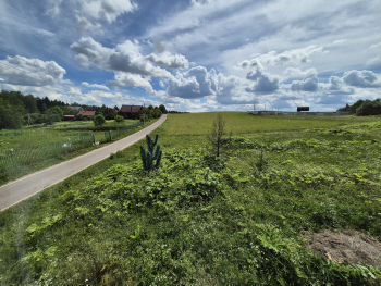 Русский дом (10 чел) — фото 7