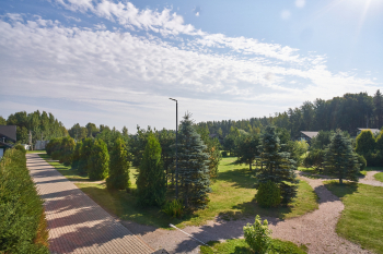 Стандарт с видом на сад — фото 1