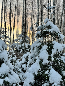 Стандартный — фото 26