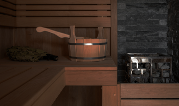 Дом Фьюжн с сауной и печью-камином — фото 1