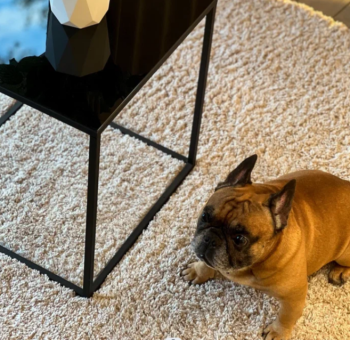 "Скандинавский" Private | с купелью — фото 6