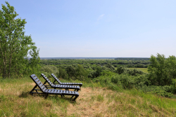 Шезлонги на общей территории — фото 1