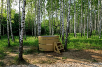 Домик четырехместный рядом с купелью — фото 7