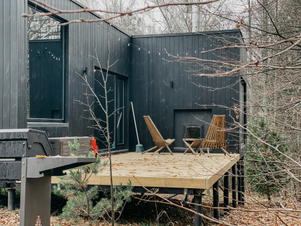 Эвкалипт — фото