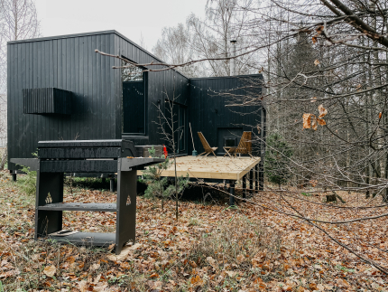 Эвкалипт — фото