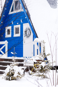 Синий дом — фото 17