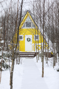 Желтый дом — фото 18