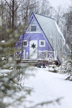 Лавандовый дом — фото 21