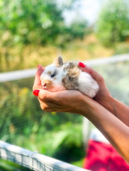 Ферма — фото 1