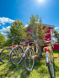 Велопрогулки — фото 1