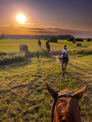 Конные прогулки — фото 1