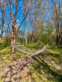 Белый дом — фото 10