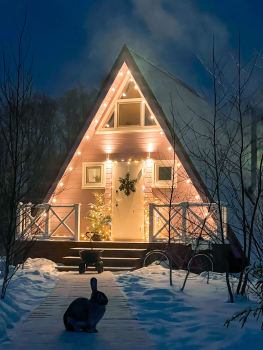 Лавандовый дом — фото 22