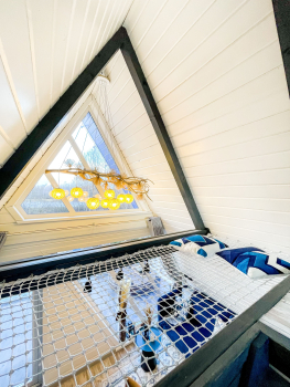 Синий дом — фото 4