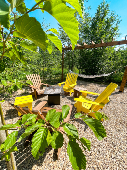 Желтый дом — фото 16