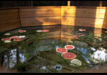 Дом на дереве — фото