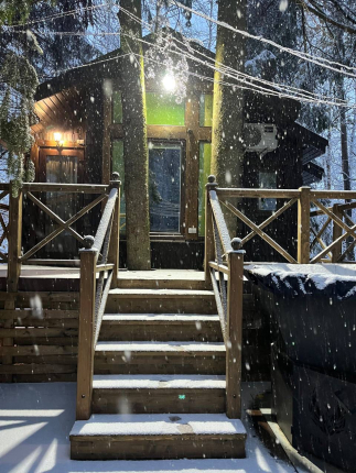 Дом на дереве — фото