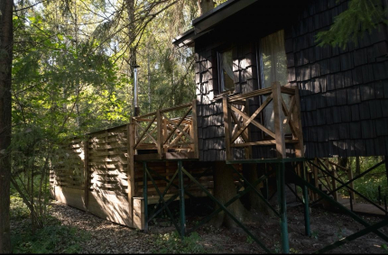 Дом на дереве — фото