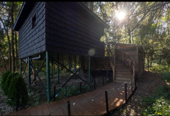 Ясень — фото 7