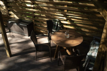 Ясень — фото 8