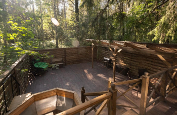 Ясень — фото 2