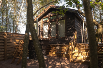 Шалфей — фото 2