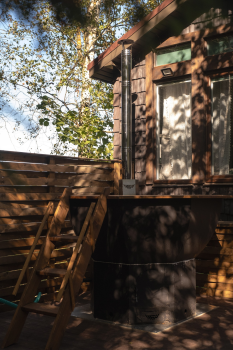 Шалфей — фото 4