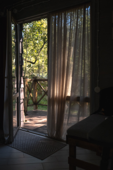 Шалфей — фото 3