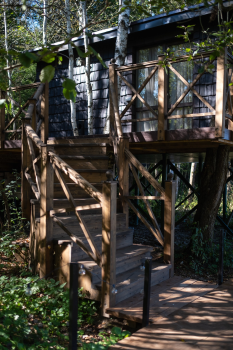 Шалфей — фото 1