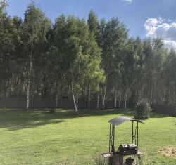 Барбекю зона — фото 4