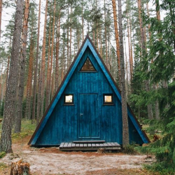 Домик в лесу — фото 1